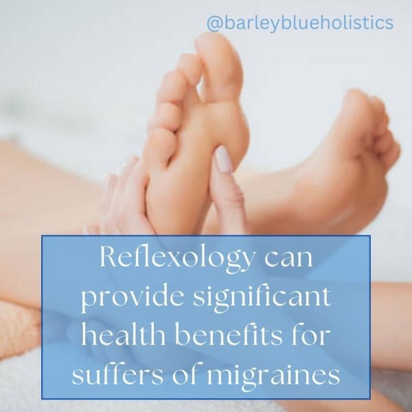 Barley Blue Holistics